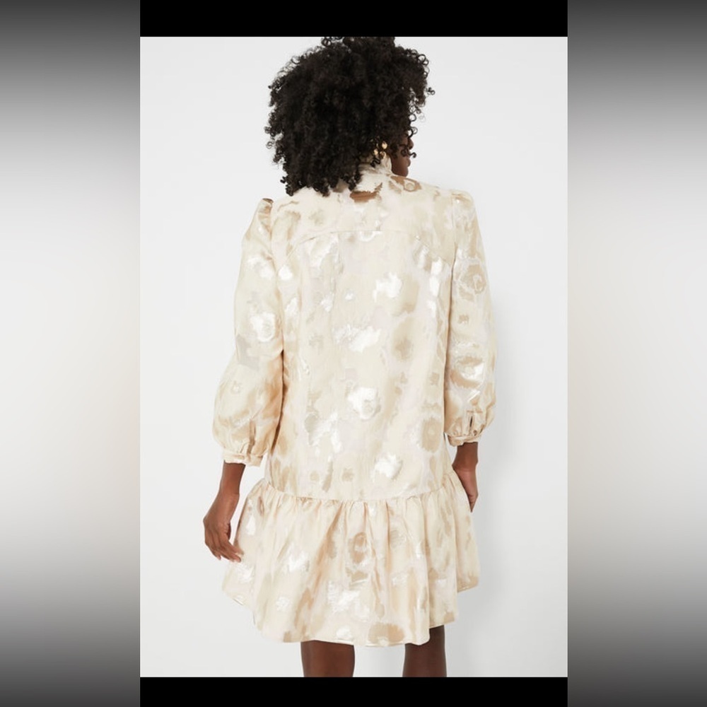 NWT Tuckernuck Palmerston Champagne Fil Coupé Dress XS Wedding Guest Party - Picture 5 of 13